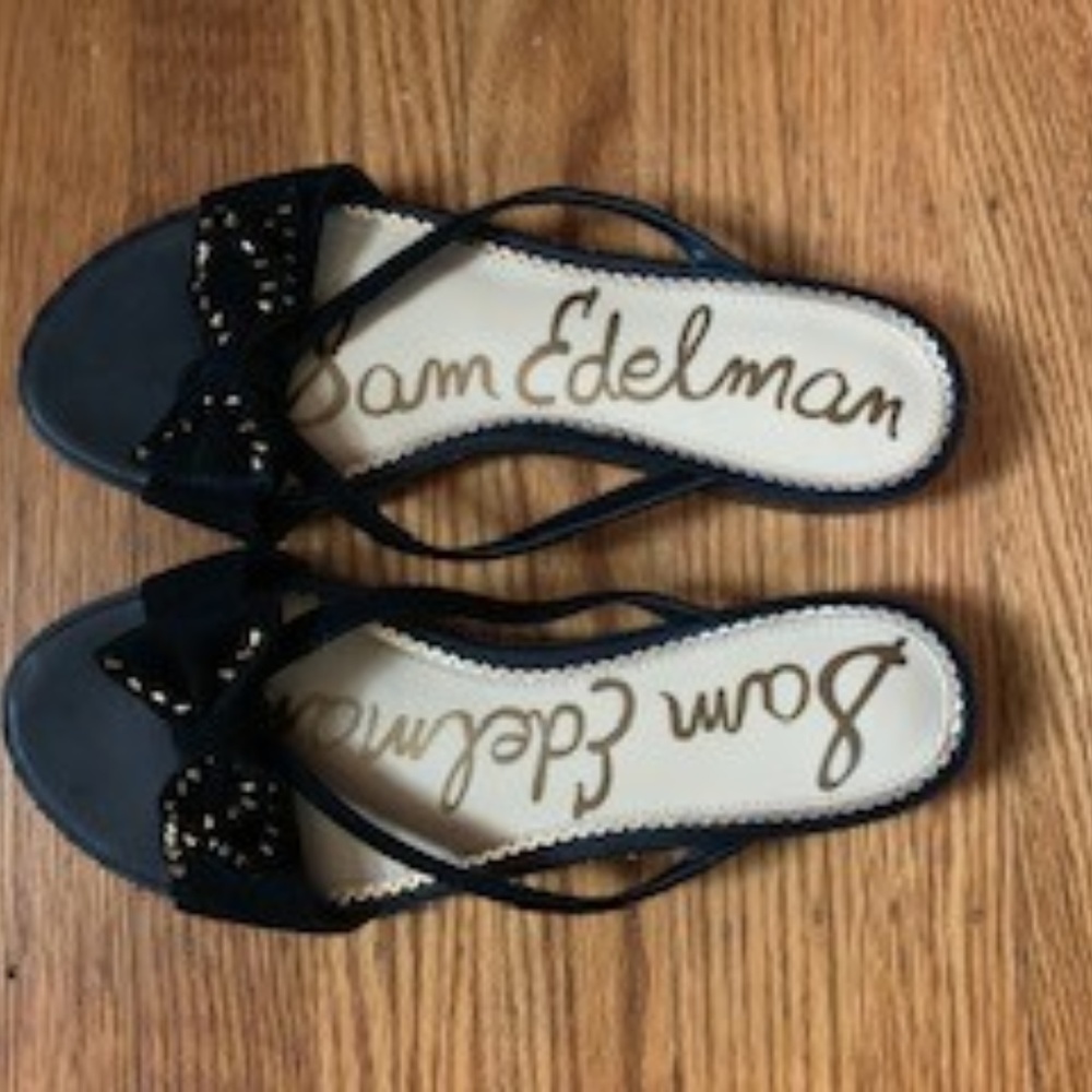 Sam Edelman Dariel Sandals Size 10